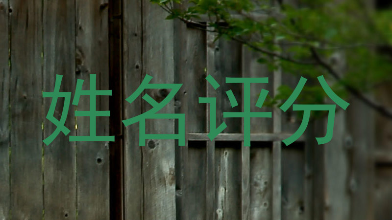 姓名评分