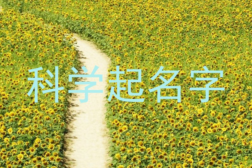 科学起名字