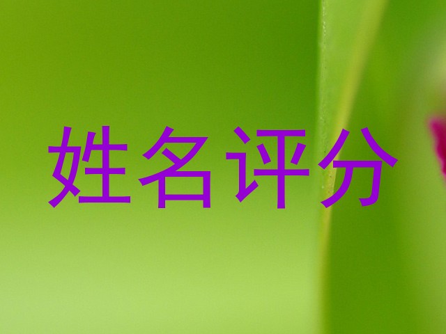 姓名评分