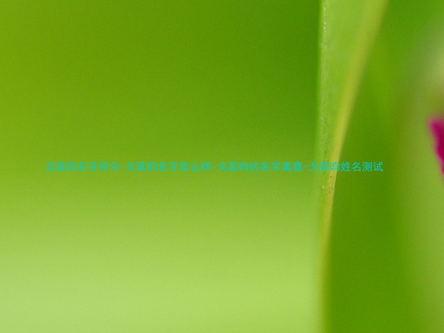 戈茗昀名字评分-戈茗昀名字怎么样-戈茗昀的名字寓意-戈茗昀姓名测试