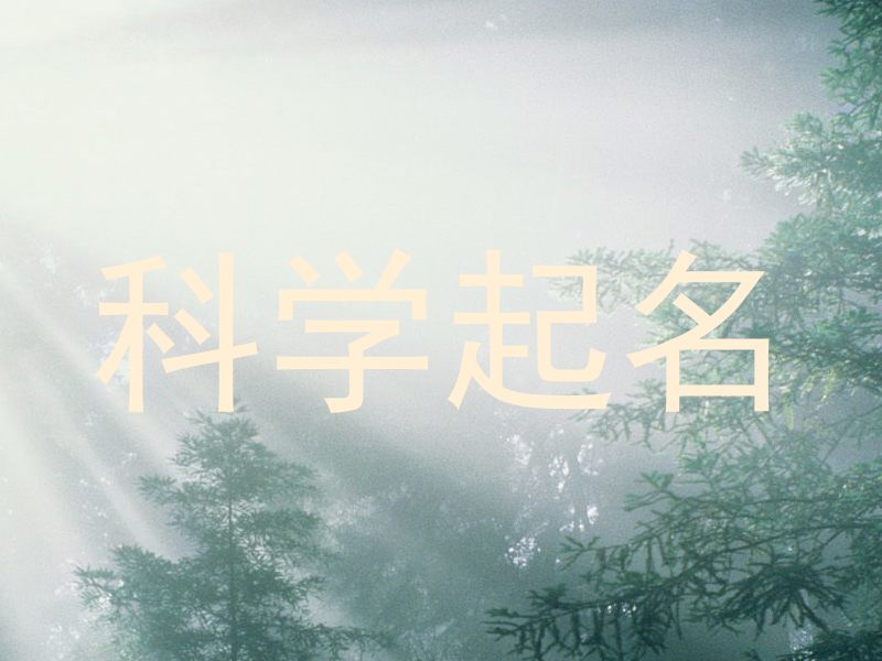 科学起名