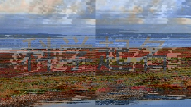 科学起名