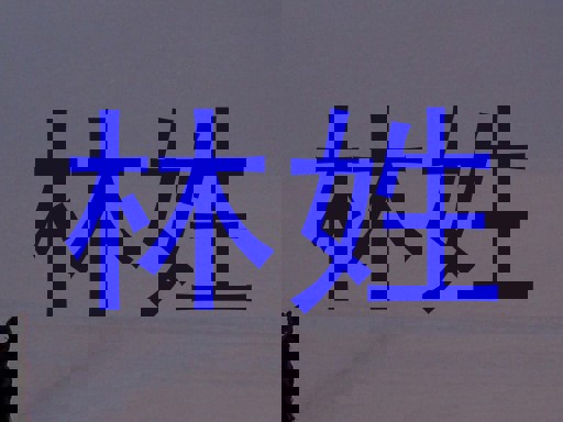 林姓