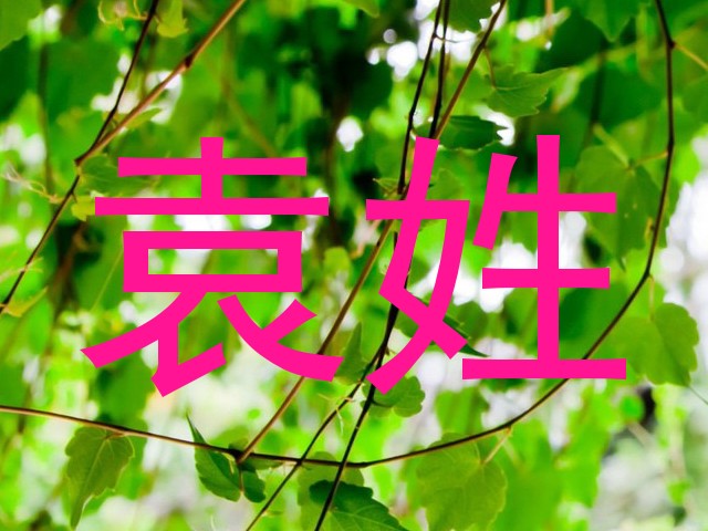 袁姓