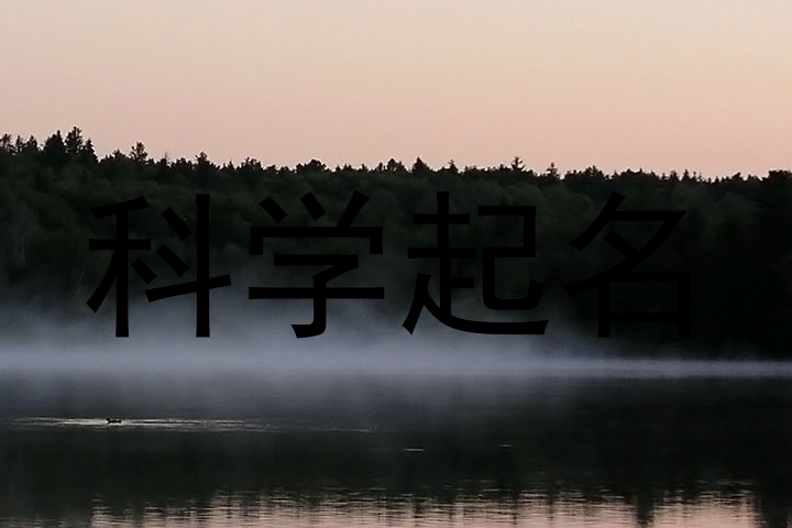 科学起名