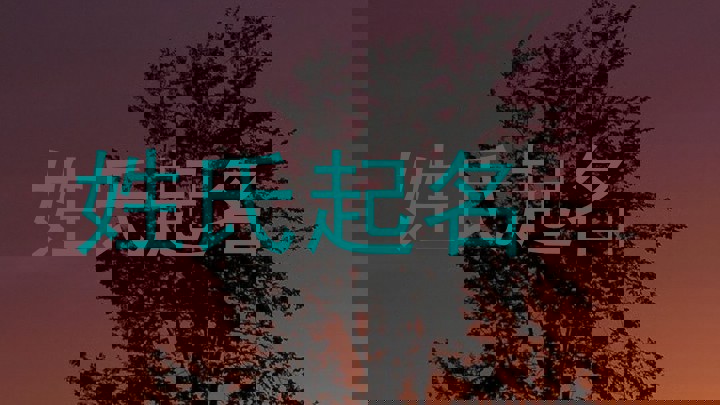 姓氏起名