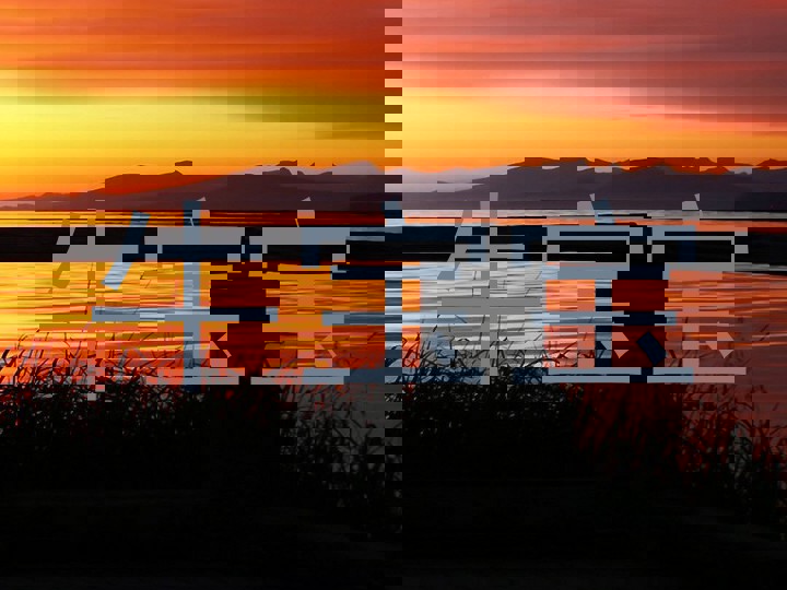 牛宝宝