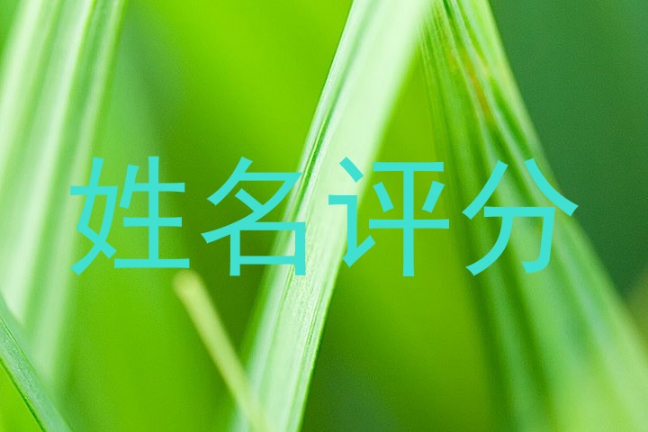 姓名评分