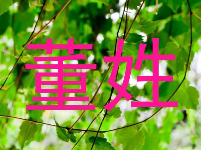 董姓