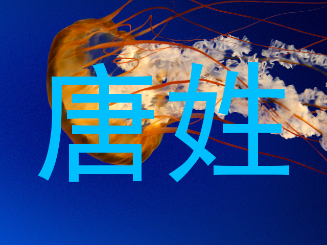 唐姓