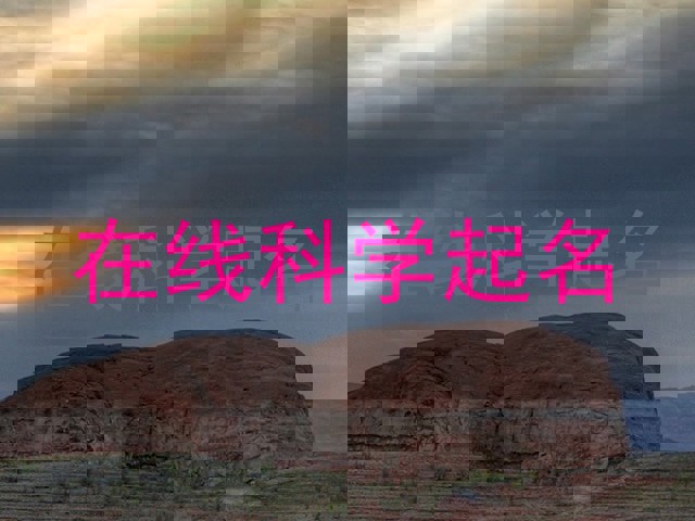 在线科学起名