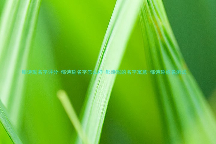 郇诗瑶名字评分-郇诗瑶名字怎么样-郇诗瑶的名字寓意-郇诗瑶姓名测试