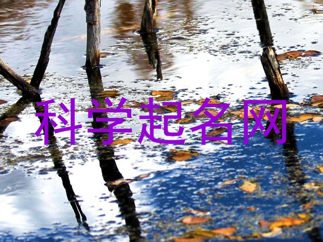 科学起名网