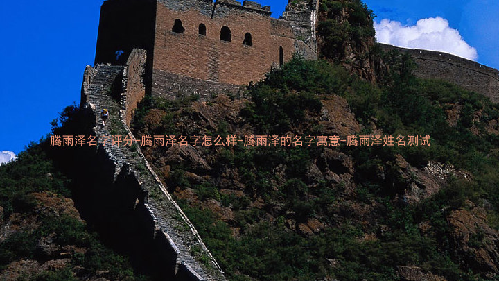 腾雨泽名字评分-腾雨泽名字怎么样-腾雨泽的名字寓意-腾雨泽姓名测试