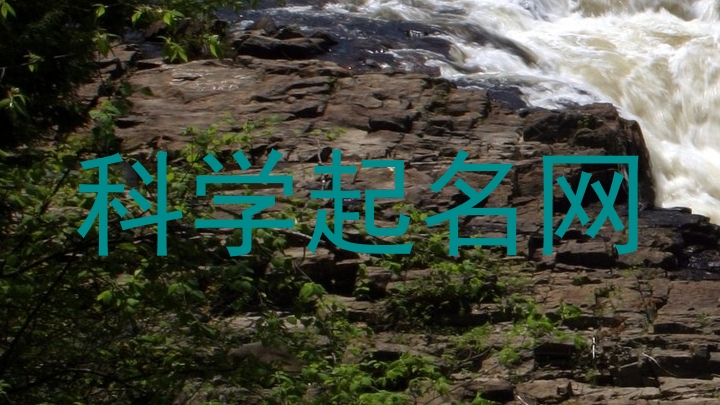 科学起名网