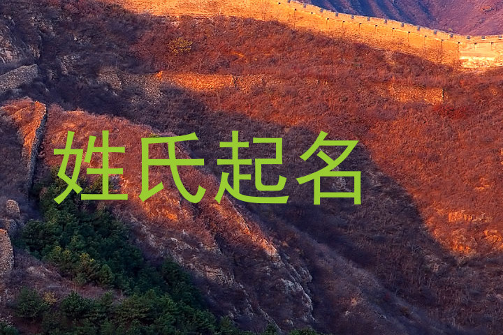 姓氏起名