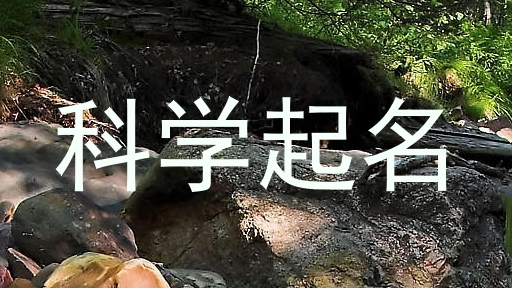 科学起名