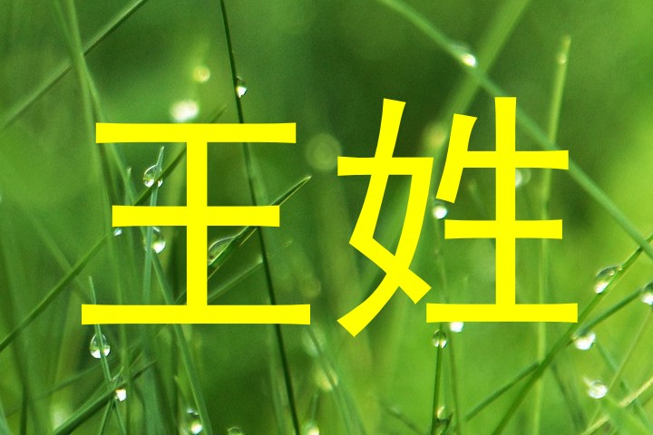 王姓
