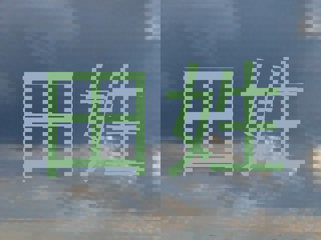 田姓