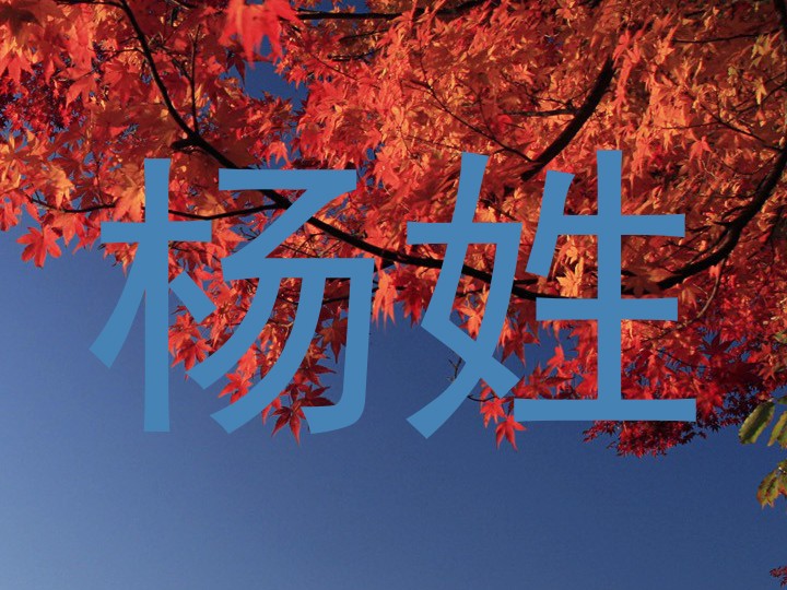 杨姓