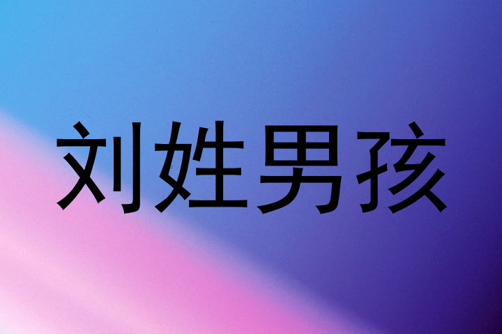 刘姓男孩