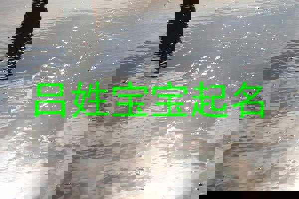 吕姓宝宝起名