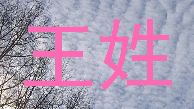 王姓