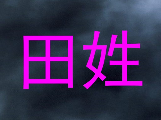 田姓
