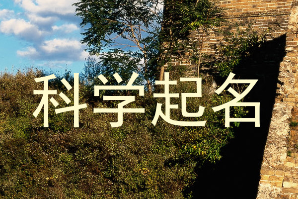 科学起名