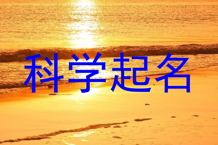 科学起名