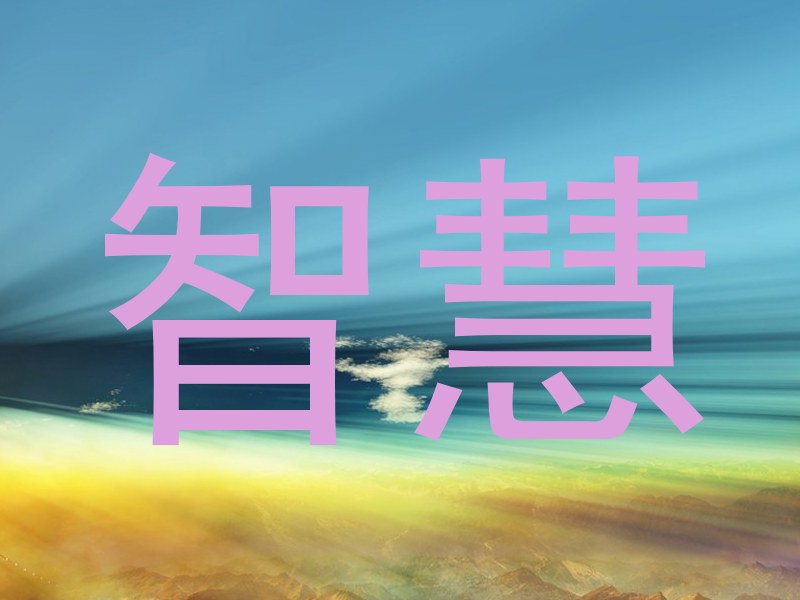 智慧