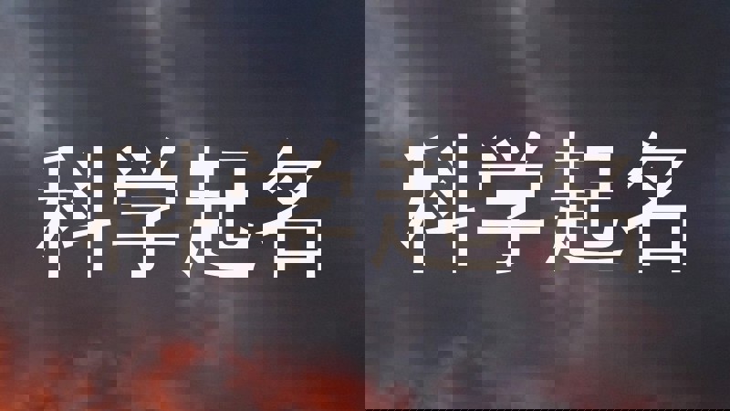 科学起名