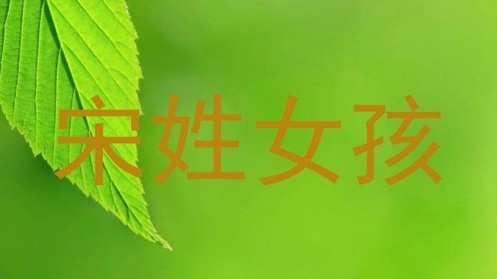 宋姓女孩