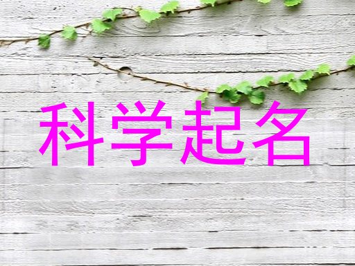 科学起名