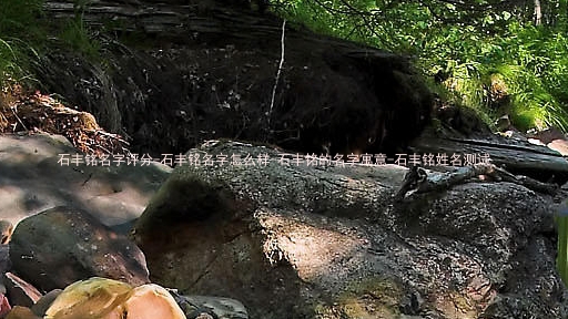 石丰铭名字评分-石丰铭名字怎么样-石丰铭的名字寓意-石丰铭姓名测试