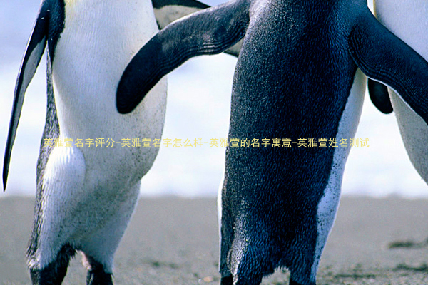 英雅萱名字评分-英雅萱名字怎么样-英雅萱的名字寓意-英雅萱姓名测试