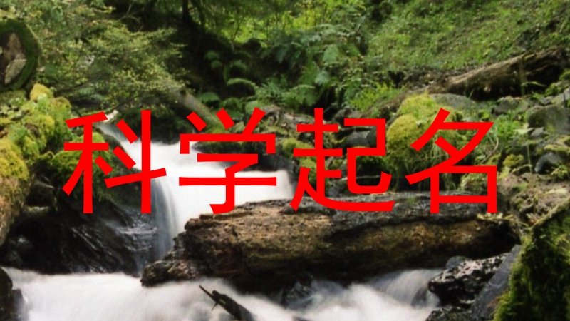 科学起名