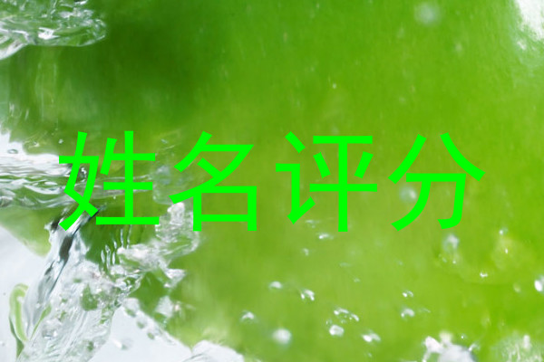 姓名评分