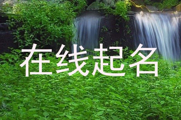 在线起名