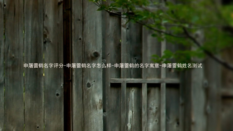 申屠蕾鹤名字评分-申屠蕾鹤名字怎么样-申屠蕾鹤的名字寓意-申屠蕾鹤姓名测试