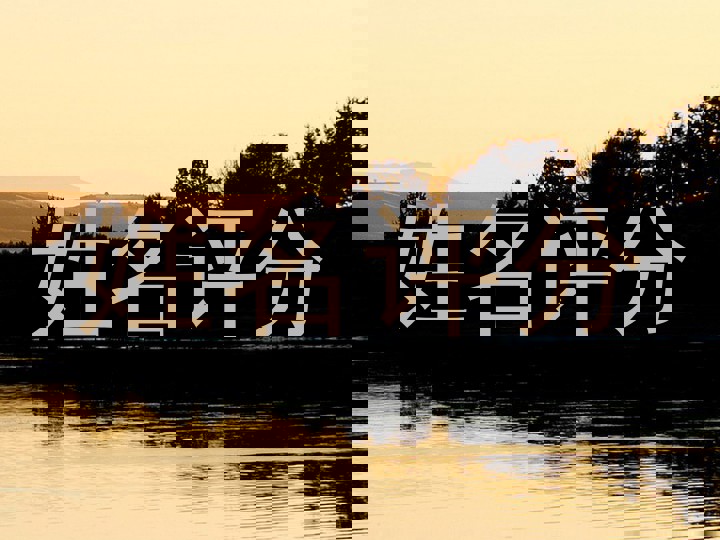 姓名评分