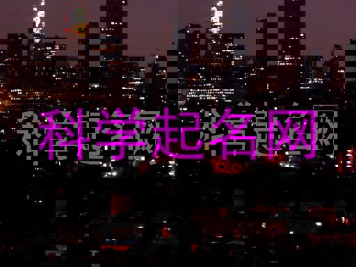 科学起名网