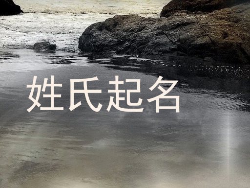 袁姓