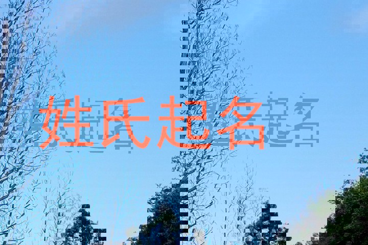 姓氏起名