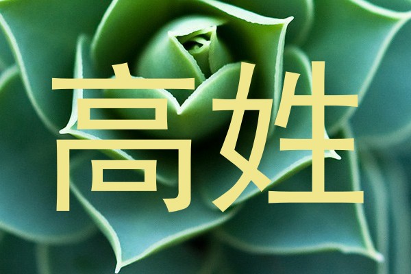 高姓