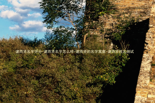 逮雨贤名字评分-逮雨贤名字怎么样-逮雨贤的名字寓意-逮雨贤姓名测试