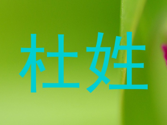 杜姓