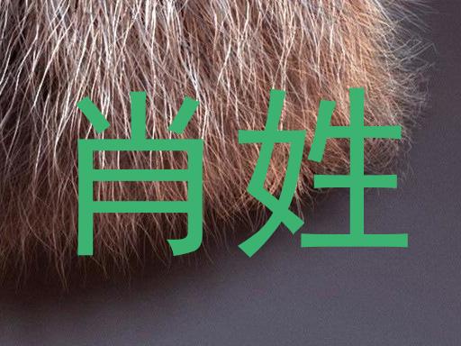 肖姓