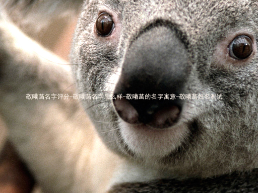 敬曦菡名字评分-敬曦菡名字怎么样-敬曦菡的名字寓意-敬曦菡姓名测试