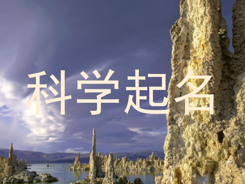 科学起名